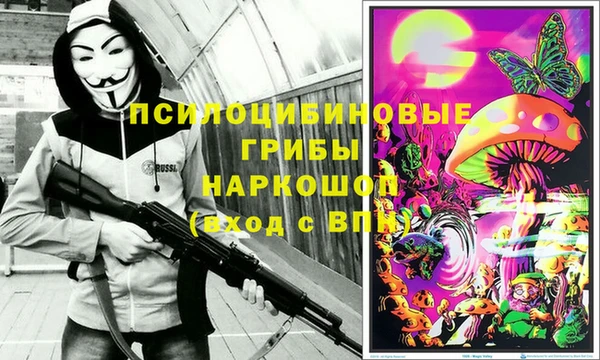 spice Коряжма