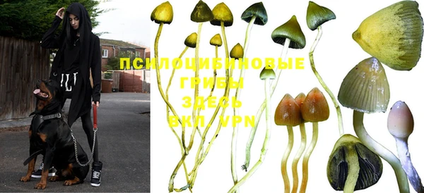 круглые Корсаков