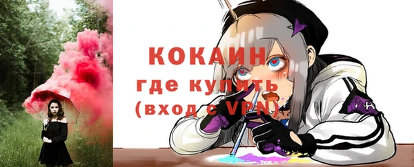 круглые Корсаков