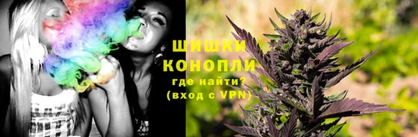 круглые Корсаков
